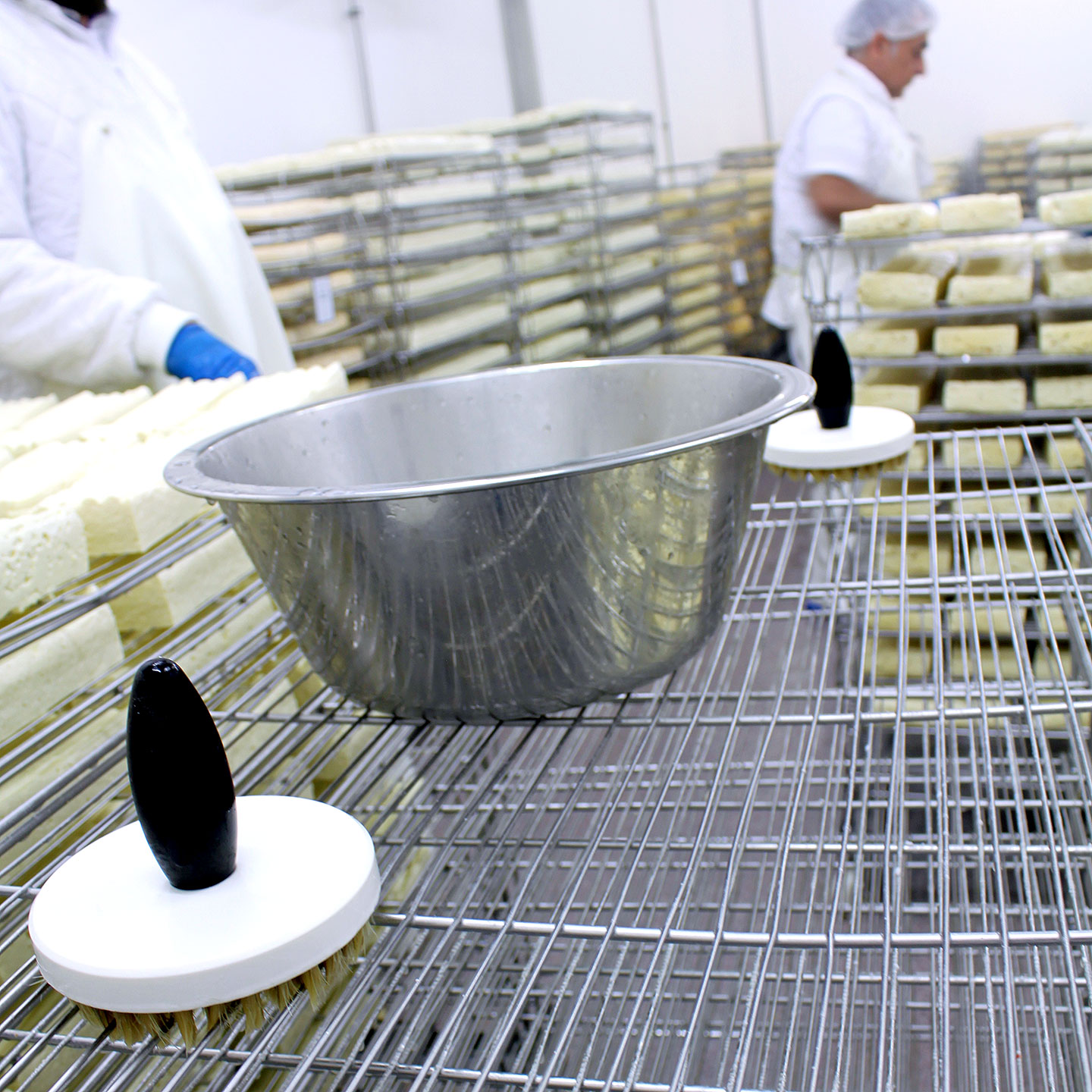 Käseproduktion: Hygienische UV / UVC Desinfektion in Käsereien und Käsekellern gegen Bakteriophagen